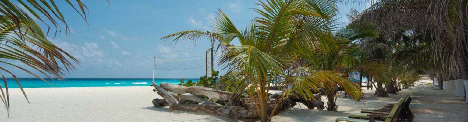 Flamingo Hotels - Cancun - Flamingo Hotels - Cancun -