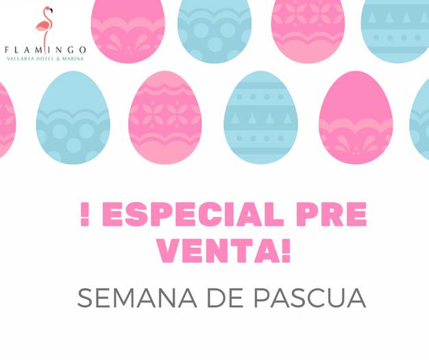 Easter Week Pre-sale Special Hoteles Flamingo Easter Week Pre-sale Special Hoteles Flamingo