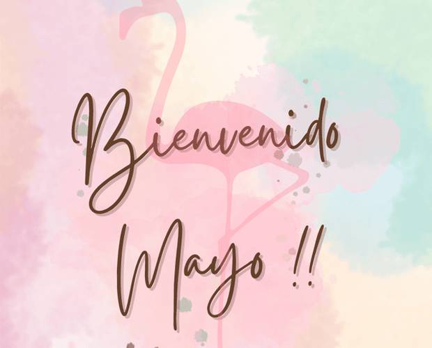 Welcome May Hoteles Flamingo Welcome May Hoteles Flamingo