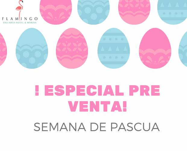 Easter Week Pre-sale Special Hoteles Flamingo Easter Week Pre-sale Special Hoteles Flamingo