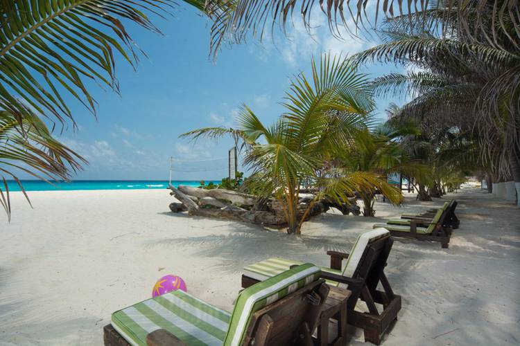 Beach Flamingo Cancun Resort Hotel