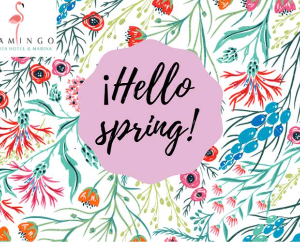 Spring Discounts Hoteles Flamingo Spring Discounts Hoteles Flamingo
