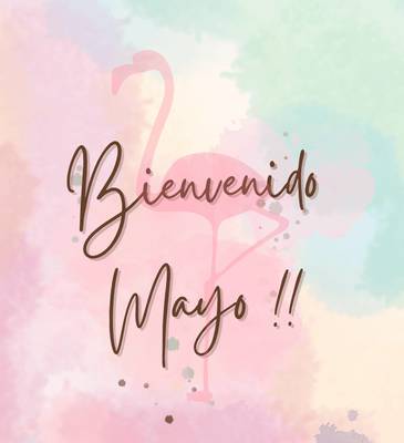 Bienvenido mayo Flamingo Vallarta Hotel & Marina Puerto Vallarta Bienvenido mayo Flamingo Vallarta Hotel & Marina Puerto Vallarta